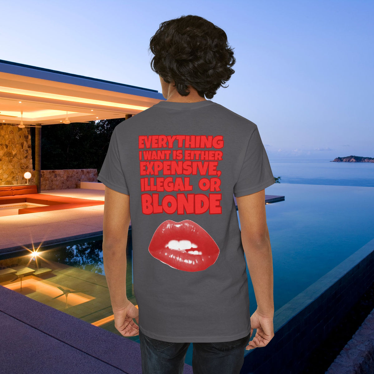 Everything I want is either expensive, illegal or blonde - Funny Romantic Graphic Tee Shirt, Cute Gift for Partner (Backprint Edition)