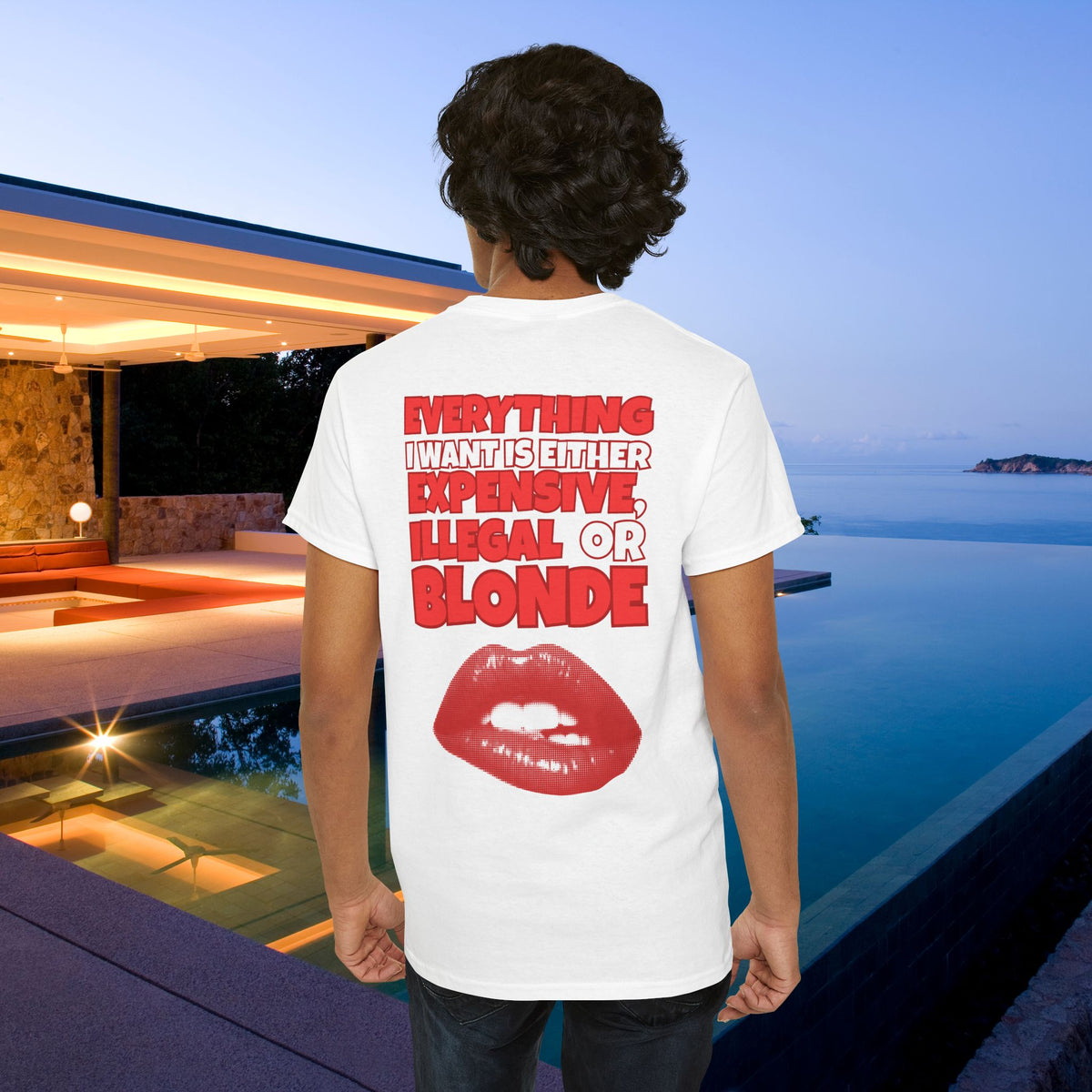 Everything I want is either expensive, illegal or blonde - Funny Romantic Graphic Tee Shirt, Cute Gift for Partner (Backprint Edition)